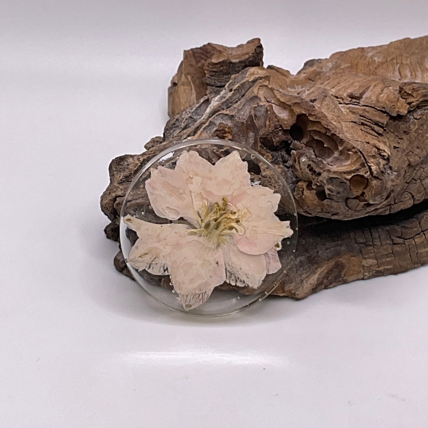 Flower Set 154